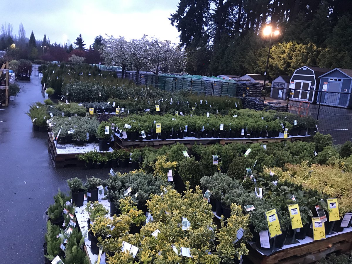 thddavesmith's tweet image. Pre-dawn in the pnw is so relaxing and quiet.  @AngelaR118 @THDPNWPride  #pnwsbf