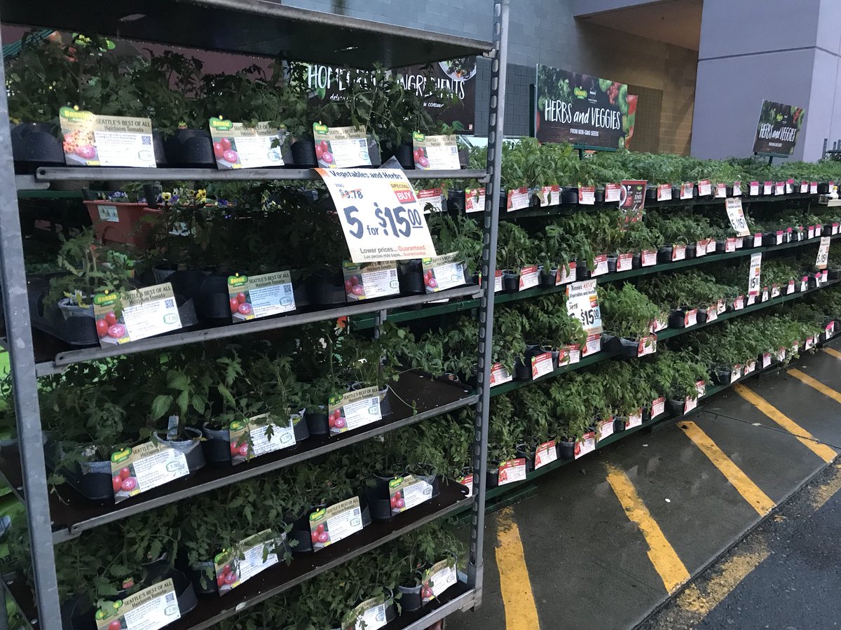 thddavesmith's tweet image. Pre-dawn in the pnw is so relaxing and quiet.  @AngelaR118 @THDPNWPride  #pnwsbf