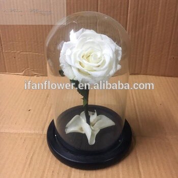Katwanifan's tweet photo. Preserved rose in glass,hot sale-love forever #love https://t.co/r1ROgwhiWt