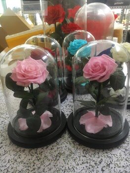 Katwanifan's tweet photo. Preserved rose in glass,hot sale-love forever #love https://t.co/r1ROgwhiWt