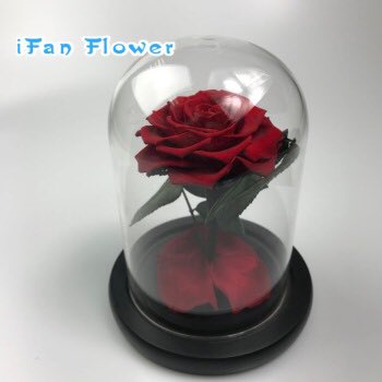 Katwanifan's tweet photo. Preserved rose in glass,hot sale-love forever #love https://t.co/r1ROgwhiWt