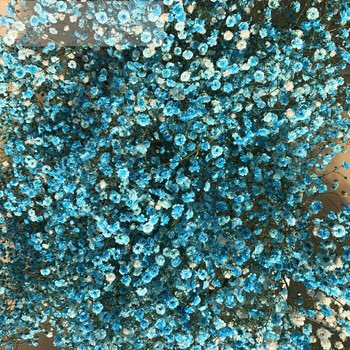Katwanifan's tweet photo. Preserved baby stars new product https://t.co/YmThjcVMyv