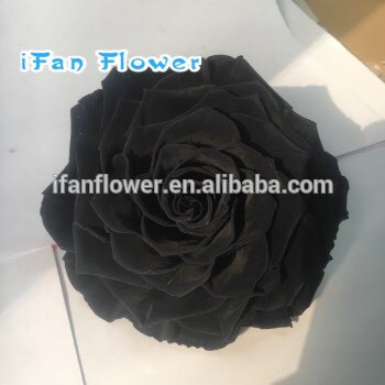 Katwanifan's tweet photo. 10cm preserved rose and heart shape https://t.co/f8vzem4VFo