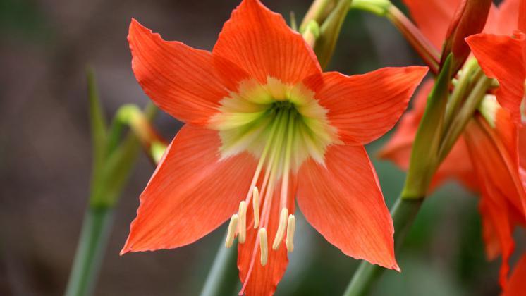 stoneRing3's tweet image. 