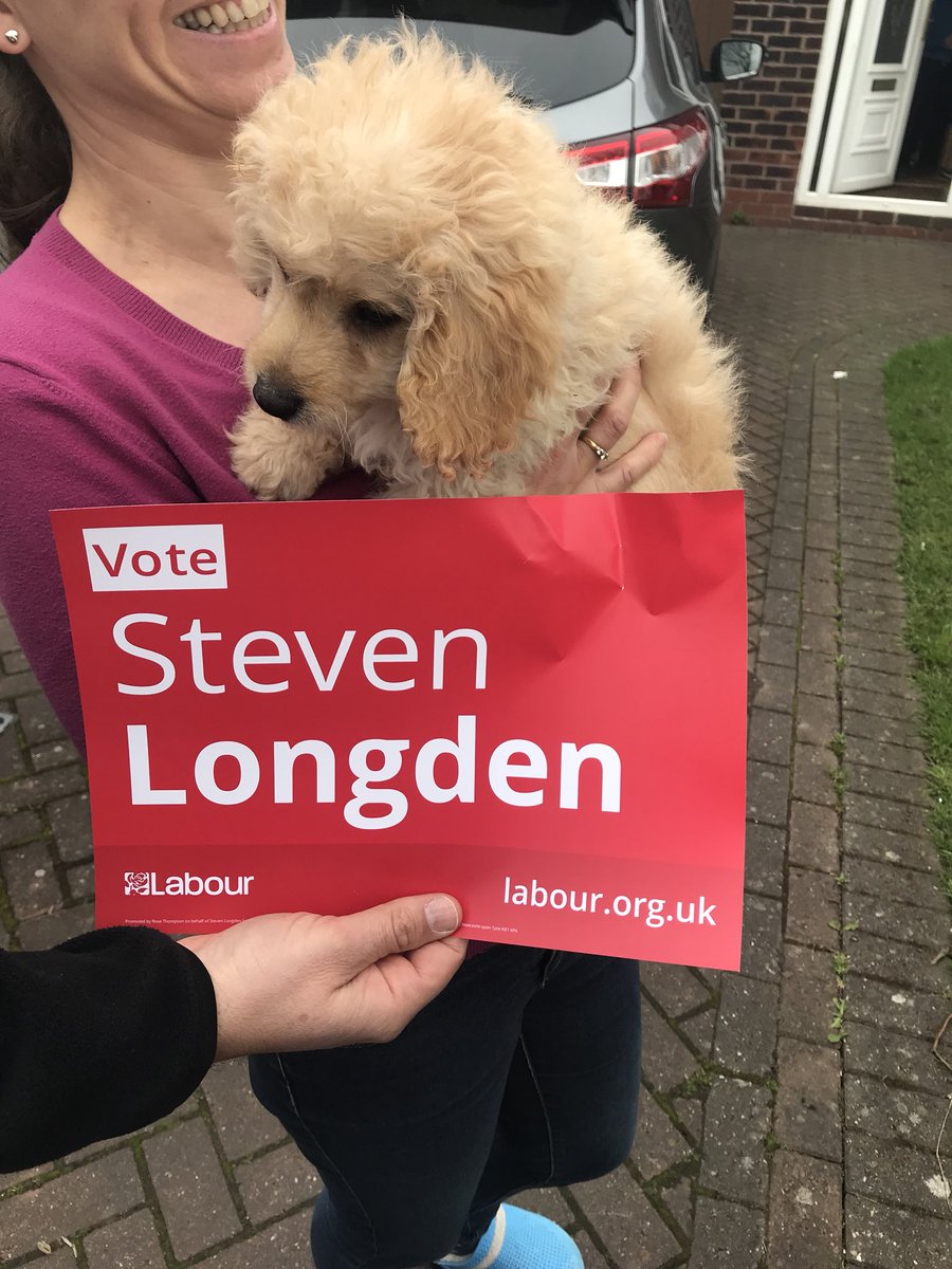 Caliban_Project's tweet photo. Labour #DoorstepDogs ๐ฑ๐๐น #TurnTraffordRed @mrlongdenextra https://t.co/9BcGexcB0O