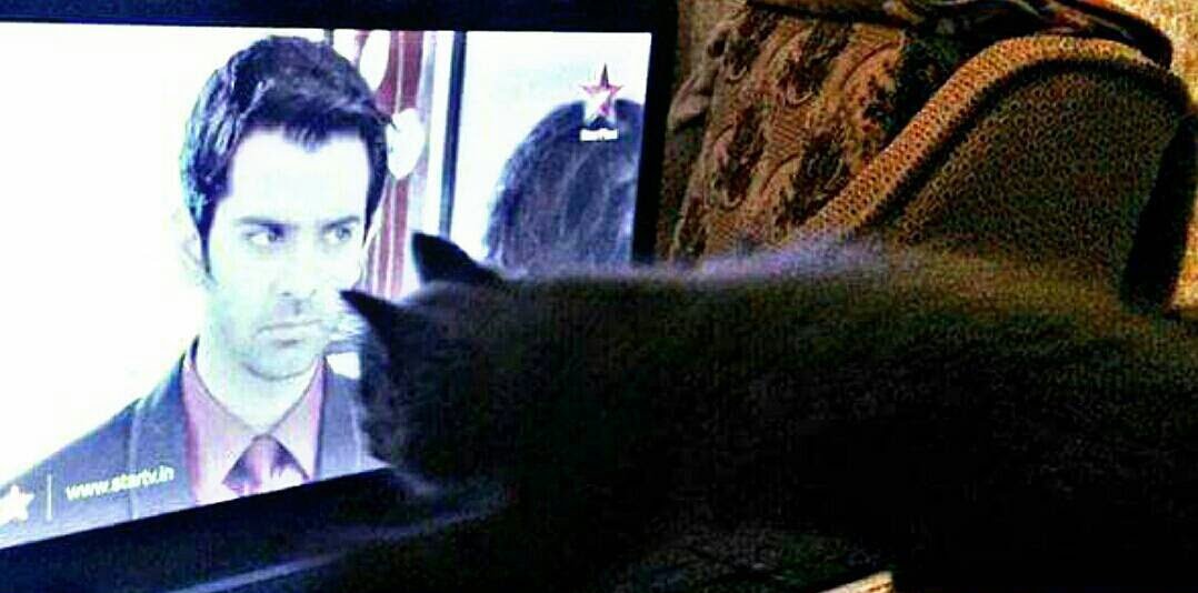 AycaPoyraz1's tweet image. Some fan moments from Turkey😂Barun can fascinate every creature in this world😌😎 #turkishboy #turkishcat #BarunSobti