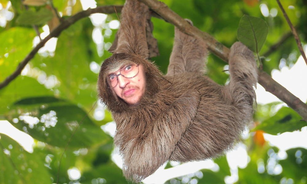 xlaurivalo's tweet photo. !!SlothSunday!!
Not Dota.
https://t.co/Iz0oErM4gS
#FTL #NotDota #meepo #supportsmallstreamers
@Twitch_RT @Retweet_Twitch @share_stream @TwitchSharing @SupStreamers @TwitchRet https://t.co/TaCelsCUrm
