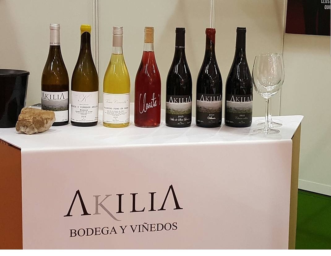 bodegaAkilia's tweet photo. Os esperamos https://t.co/Kb67gQPJiS