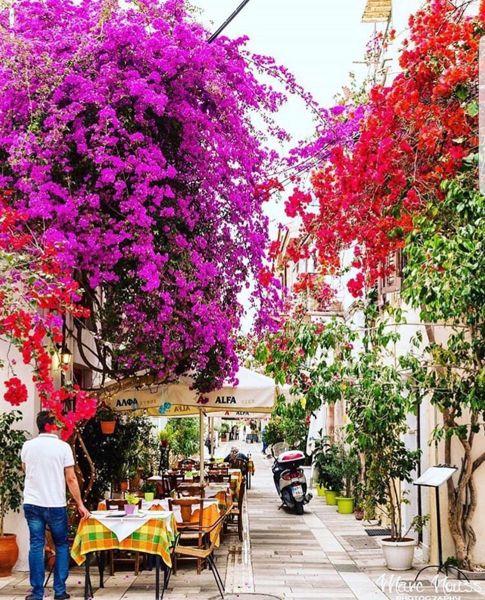 Grecia_viaggi's tweet photo. Quasi ora di pranzo.. prendiamo posto😍
https://t.co/zKlEFTvcVh 👉 VacanzeGreche 🇬🇷 #grecia🇬🇷 #grecia #grècia #greciacolmenares #greece💙 #greecestagram #greekfood #greeks #loveitsomuch #ellare #hellas #foodporn https://t.co/m3hQ0ZLqR0