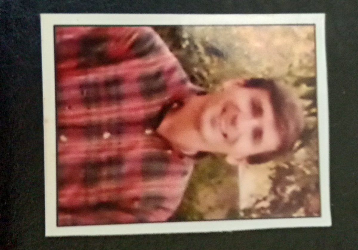 MasihDe's tweet image. 