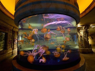 Sorprendente! #iot #proptech 

Hackers stole a casino's high-roller database through a thermometer in the lobby fish tank

 businessinsider.com/hackers-stole-…