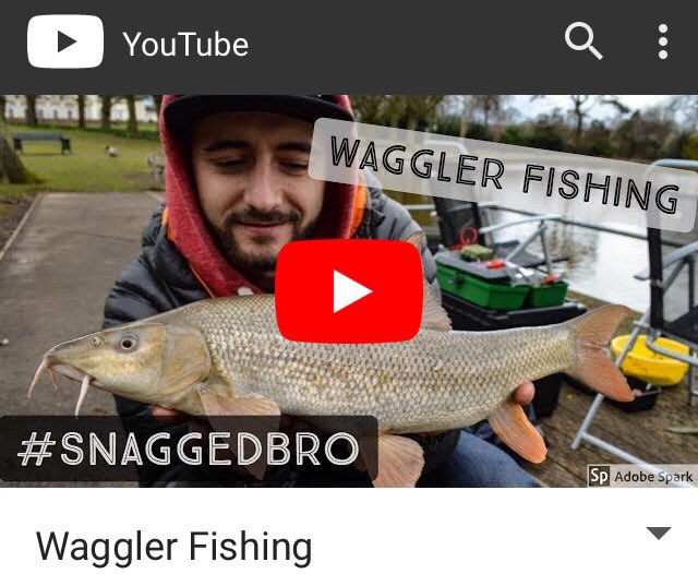 SnaggedBro's tweet photo. Check out our new video, we have a match! 

https://t.co/bSNwmjog5k https://t.co/z4A2aX38Vd