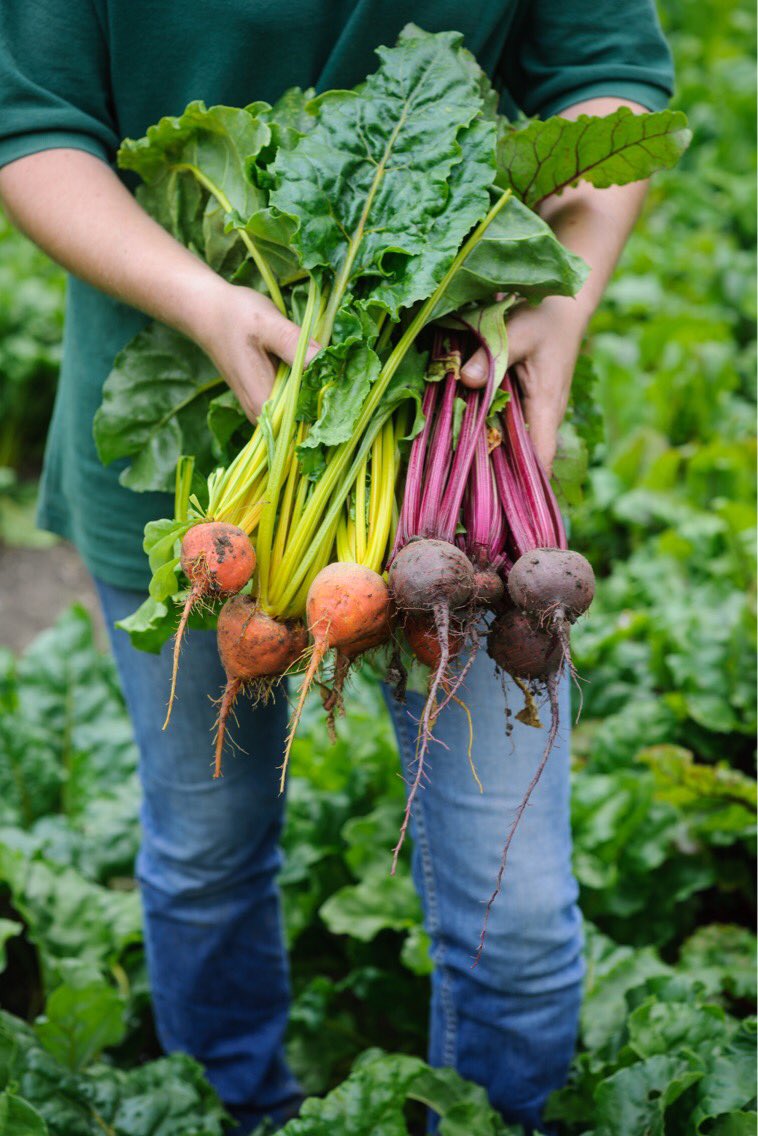 lemanoir's tweet photo. Head to our Instagram @belmondlemanoir and Facebook @lemanoirauxquatsaisons for our competition launch with @gardentrading! 
#Competition 
#GardensofBelmond
#Gardening https://t.co/0vDCnOTlPE