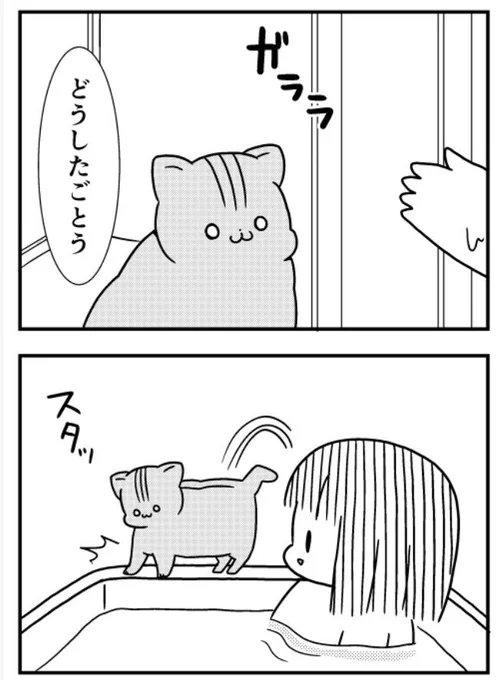 猫のきにゃと、ごとうさん(161) なにしにきた  #マイナビニュース
風呂入ってるとごとうの行動がおかしくなる 