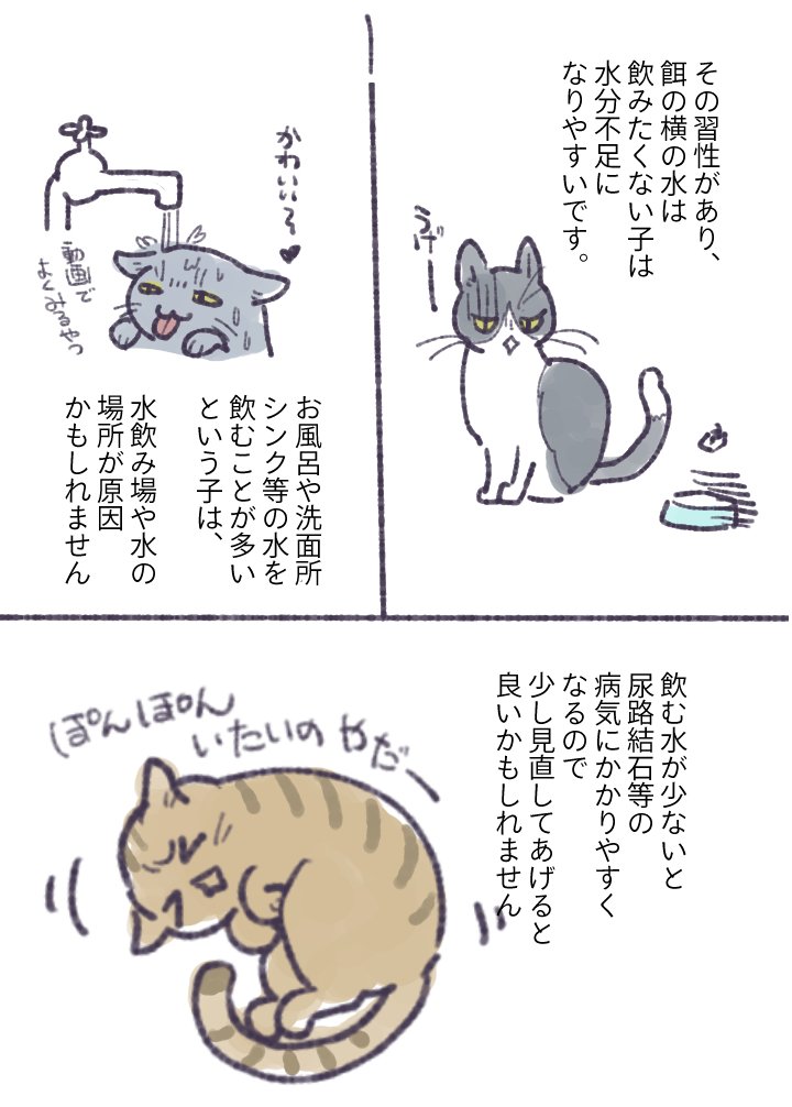 うみのみりん⛩️依頼受付中 tweet media