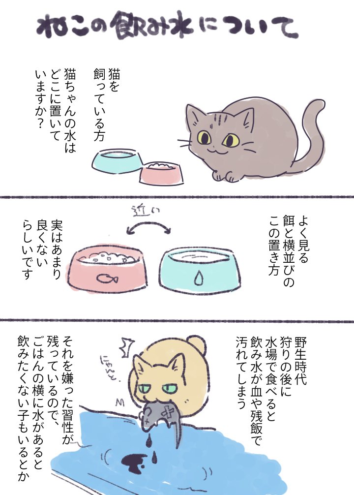 うみのみりん⛩️依頼受付中 tweet media