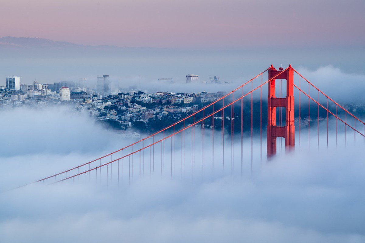 CoinDesk's tweet photo. Why Leading Crypto Devs Don't Work In Silicon Valley https://t.co/6SKgpqFXWU https://t.co/56w5kQCRNu