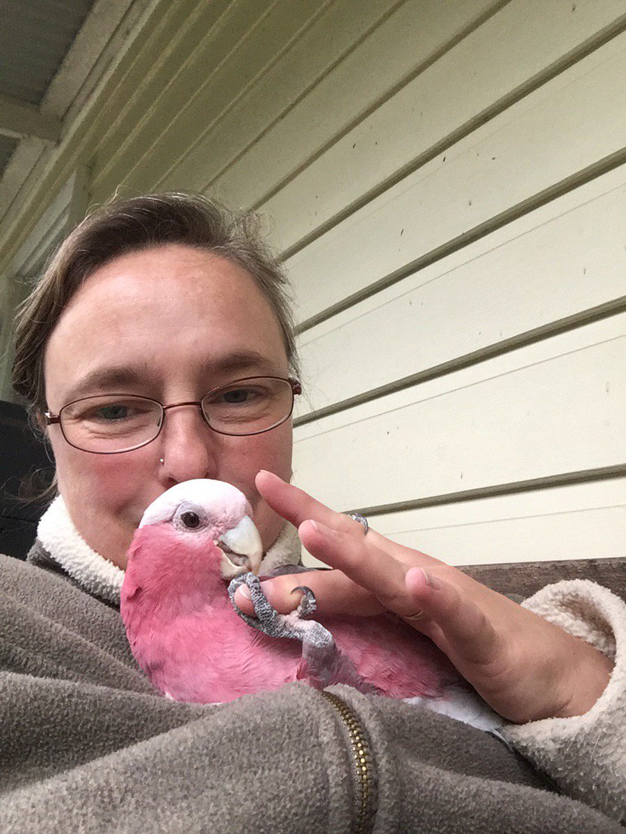 ElaZemp2's tweet photo. Sunday morning snuggles https://t.co/QVcNplHjQj