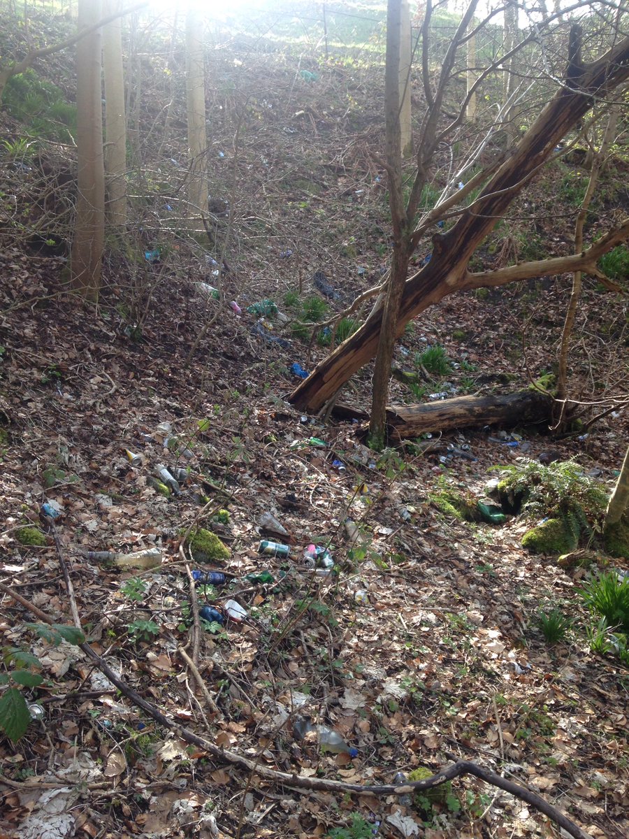 Carolynrae01's tweet image. Lovely morning to be out. Battled boggy ground n brambles to clear some riverside at Kay Park, KIlmarnock. So much still to do 😔@PlogScotland