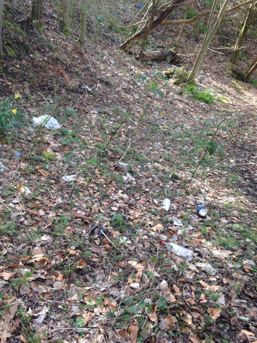 Carolynrae01's tweet image. Lovely morning to be out. Battled boggy ground n brambles to clear some riverside at Kay Park, KIlmarnock. So much still to do 😔@PlogScotland