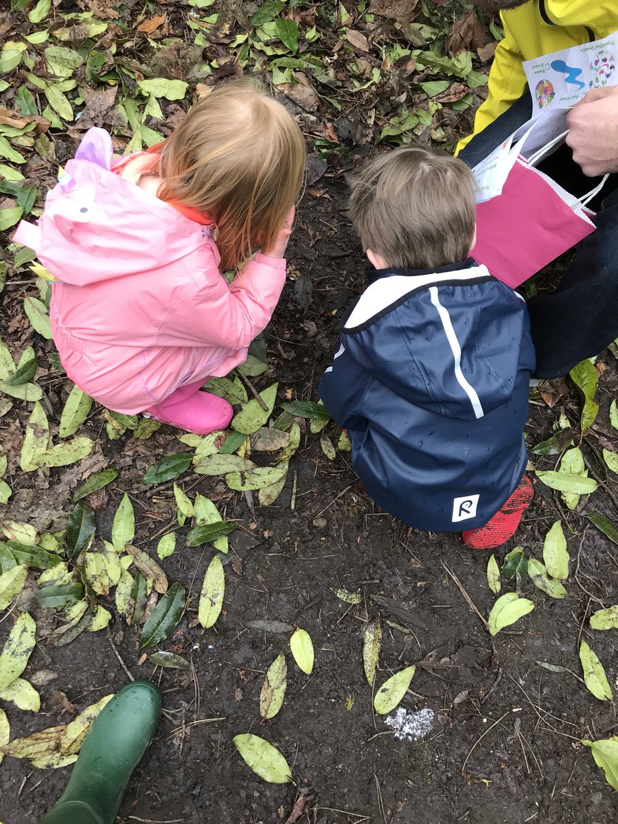 Taith Natur Cylch y Coed. Chwilio am drychfilod <a href="/MudiadMeithrin/">MudiadMeithrin</a>