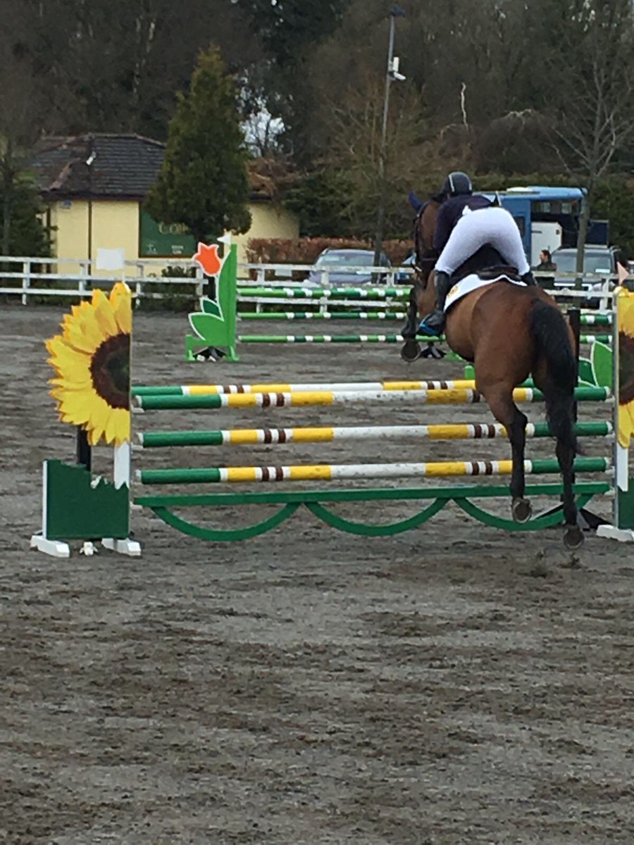 mikaela_weld's tweet photo. RD Powerplay in her first senior show going clear in a big technical 1.10/1.15 very very proud rider!! @RiverDownsStud Big thanks to TRM she looked so well @TRMNutrition 🦄 https://t.co/7hcqe7HjsU