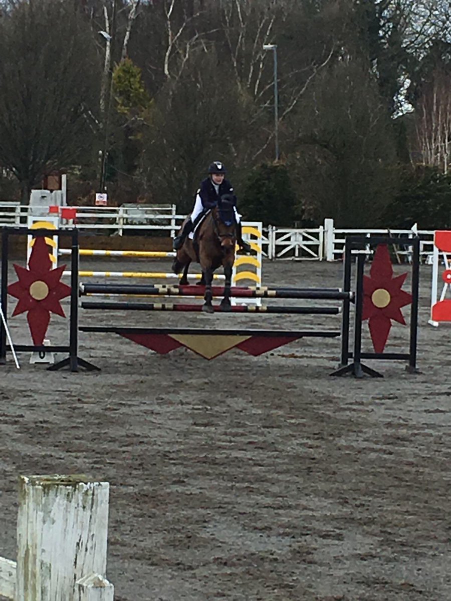 mikaela_weld's tweet photo. RD Powerplay in her first senior show going clear in a big technical 1.10/1.15 very very proud rider!! @RiverDownsStud Big thanks to TRM she looked so well @TRMNutrition 🦄 https://t.co/7hcqe7HjsU