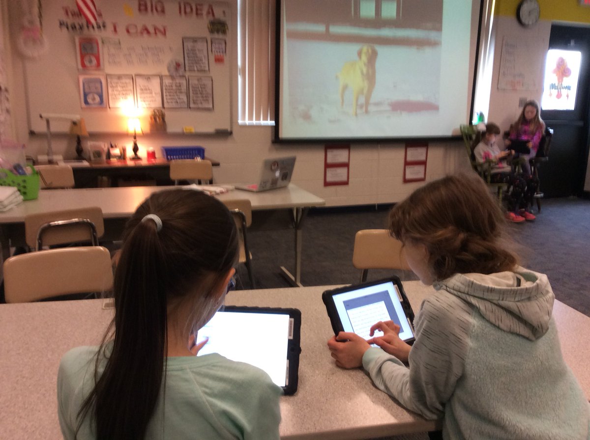 4th graders learn about accurate and inaccurate information while deciding if I should send my dog to Dog Island.