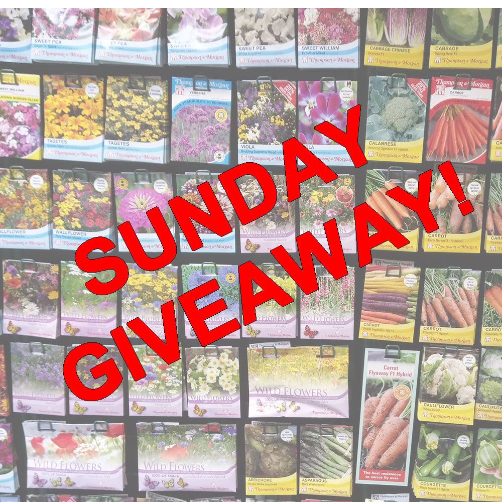 Sunday Giveaway! We’re doing it again! 20 randomly chosen packets of seed are being given away to 3 winners across Twitter and Facebook! Just comment your favourite summer flower or veg then like and retweet this post! Winners chosen at random at 10am on Monday 16 April #win #RT