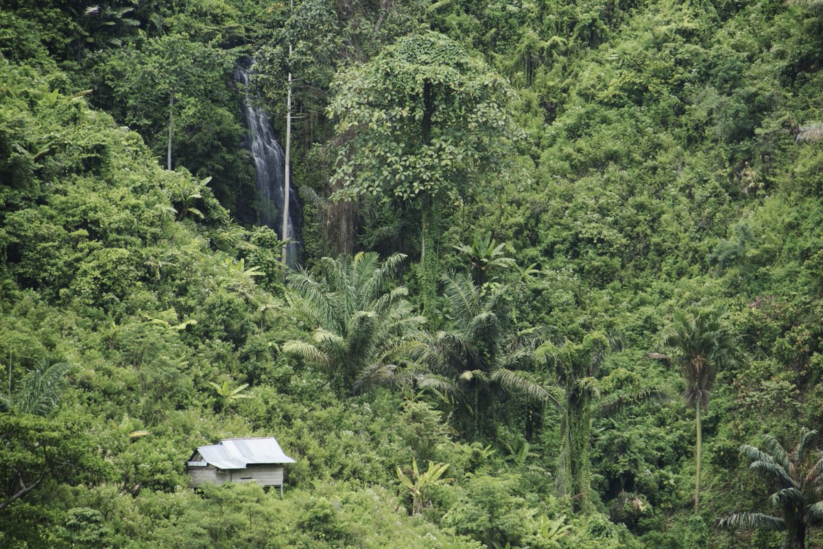 Tumetv_'s tweet photo. Serenity or insanity? Could you live here away from all internet and social media? With the nearest shop 3 hours away? 
.
.
.
#lonelyhut #rainforest #indonesia #sulawesi #polewali #waterfall #photography #mindfullness #travel #perspective https://t.co/BbFvtRg5eR