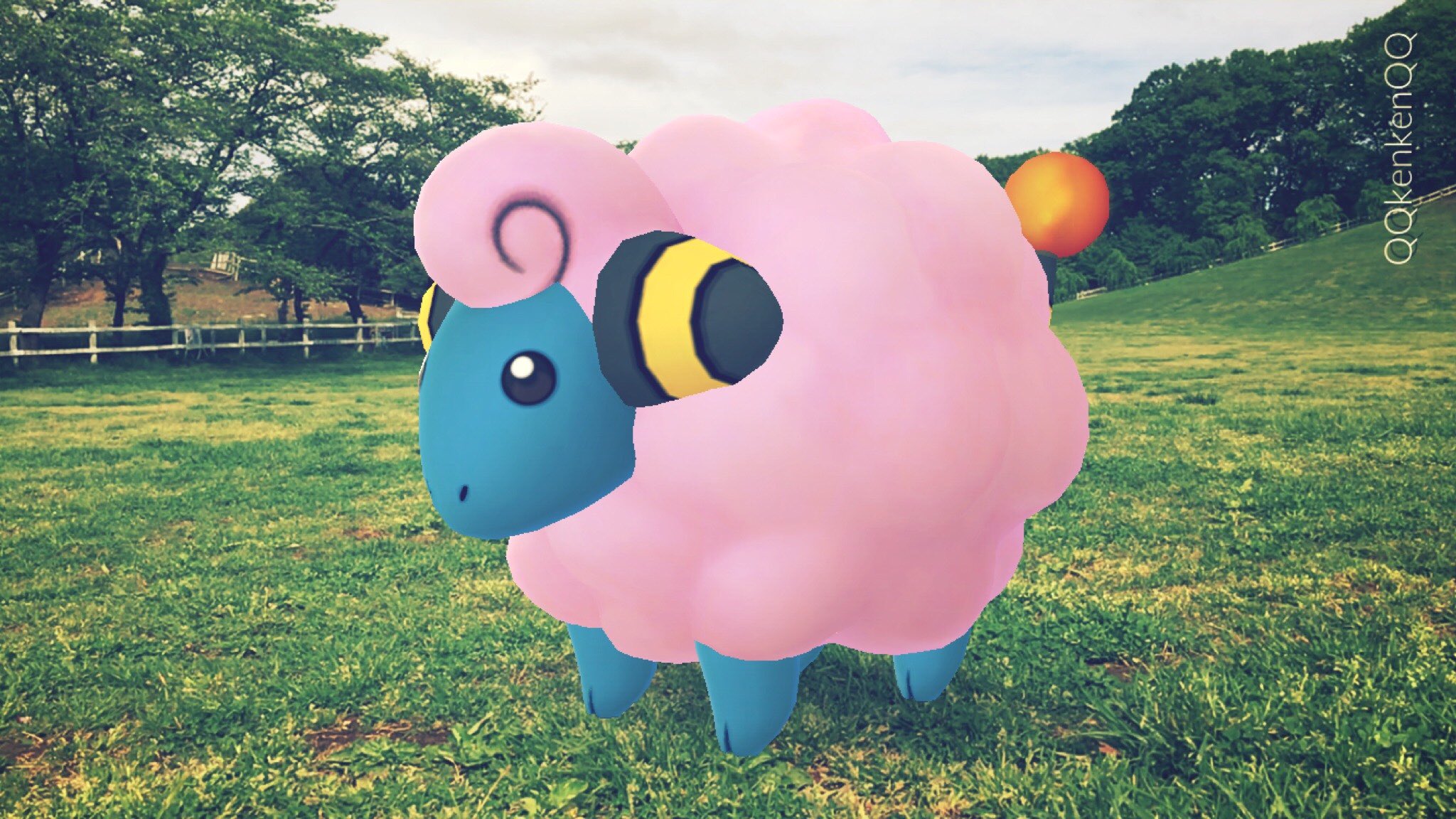 Kenken 色違いメリープ メリープ Mareep ポケモンgo Pokemongo ポケモンgoar ポケモンgoar写真 Pokemongoar Pokemongoarplus 色違いメリープ 色違いポケモン 色違い Shinymareep Shinypokemon Pokemongocommunityday T Co