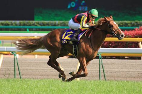 ろしくん على تويتر 父ステイゴールド 黄金旅程 子オルフェーヴル 金細工師 孫エポカドーロ 黄金時代 本当にステイゴールドの子孫達の名前にはロマンシングを感じざるを得ないw