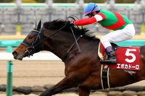 ろしくん على تويتر 父ステイゴールド 黄金旅程 子オルフェーヴル 金細工師 孫エポカドーロ 黄金時代 本当にステイゴールドの子孫達の名前にはロマンシングを感じざるを得ないw