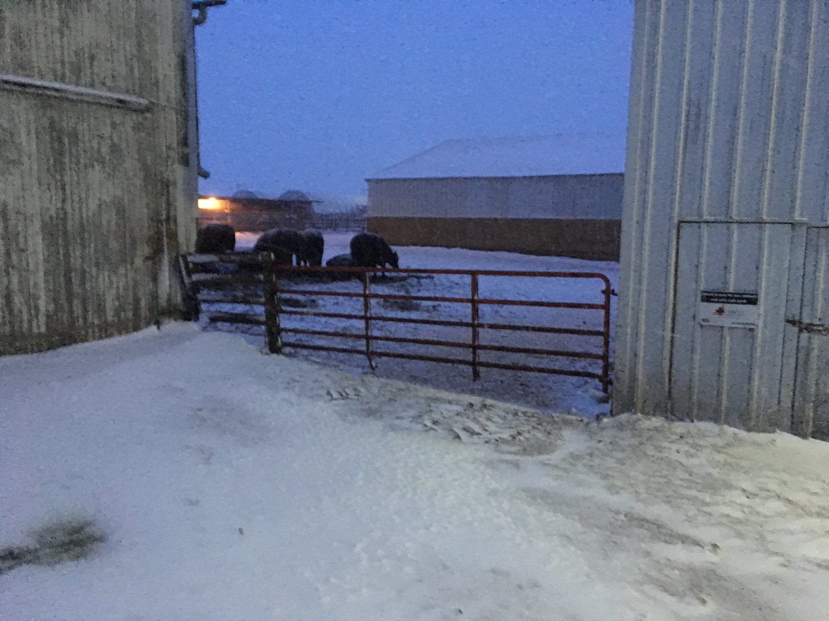 Chris1009's tweet image. This isn’t right, I don’t live in NW IA, Mn, or SD. #notspringyet