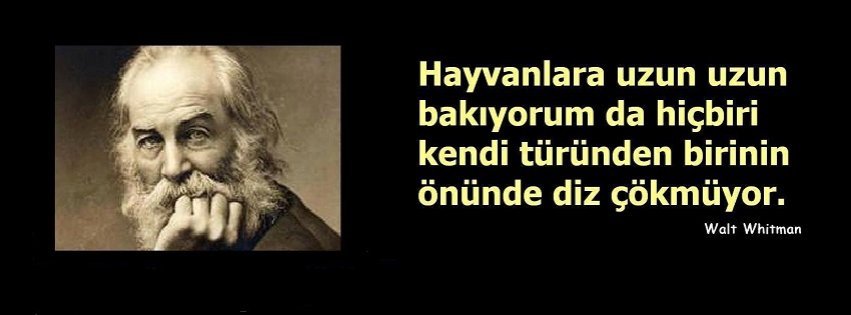 Koc34Fatma's tweet photo. Yarın sıra sanada gelir,hep insanlar diz çökmek zorundamı. https://t.co/DAThBZqkh4