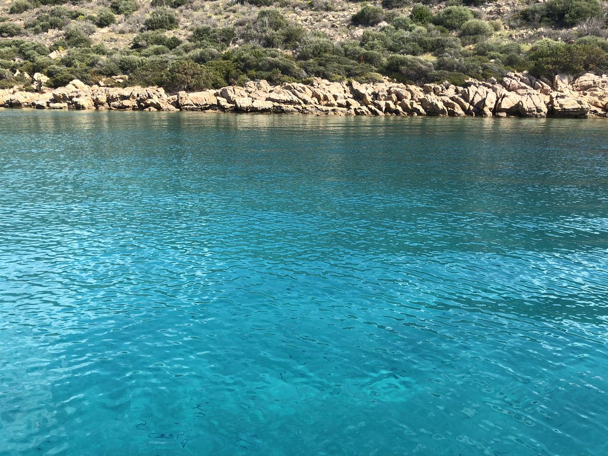 Gökova imara açılmamalı, arılara balıklara ağaçlara çocuklarımıza yazık olur