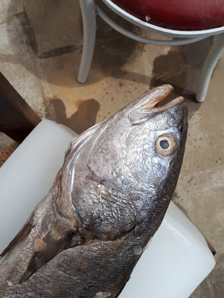 ffyeah's tweet image. #gr8artgames #AMaze2018 #statusthegame