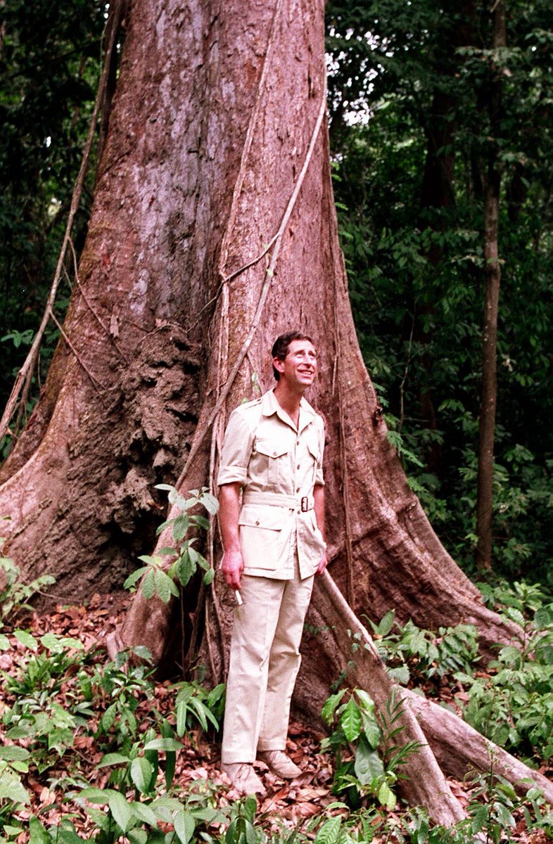 ClarenceHouse's tweet photo. The Prince of Wales has long been interested in forest conservation. HRH has made several visits to forests around the Commonwealth including to Cameroon's Korup National Park in 1990.
#CommonwealthCanopy https://t.co/ewEwUpAkI0