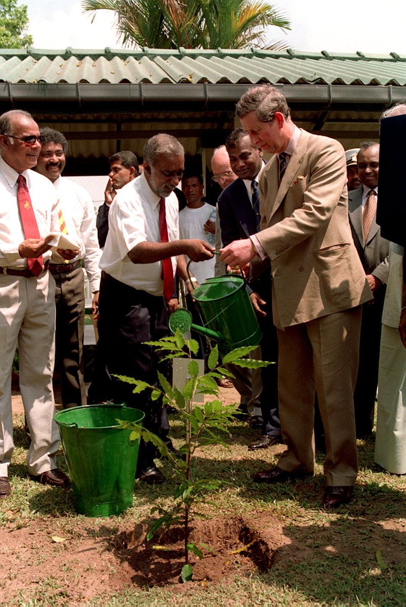 ClarenceHouse's tweet photo. The Prince of Wales has long been interested in forest conservation. HRH has made several visits to forests around the Commonwealth including to Cameroon's Korup National Park in 1990.
#CommonwealthCanopy https://t.co/ewEwUpAkI0