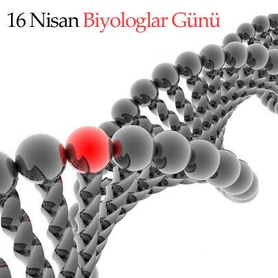 yalcindedeoglu's tweet photo. Yarın kutlanacak Biyologlar Günümüz için bir basın bildirisi yazıyorum. Bu bildiriyi çeşitli ortamlarda hangi arkadaşlarımız paylaşıp Biyologların sesini duyurabilir...
#BiyologlarGünü #BiologistsDay https://t.co/YLvmvFLcjS