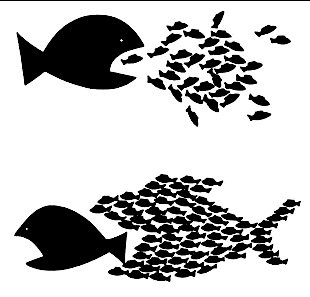 SIPMCS-CNT tweet media