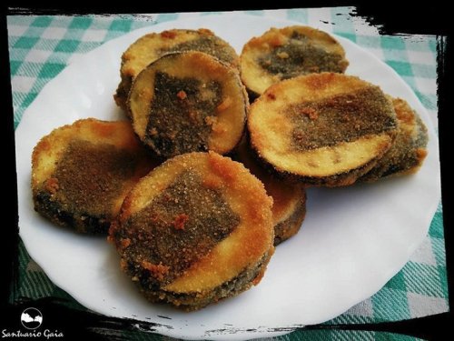 Animal_Libre's tweet photo. #RecetasVeganas | 3 recetas de pescado frito vegano

De acuerdo a serios estudios “los peces poseen memoria, sentido de auto conciencia y sufren”. No necesitamos comer peces y existen muchas recetas que emulan su sabor evitando su sufrimiento.

Revisa ➡️https://t.co/WA9mgDKgGA https://t.co/AyfwcZ6MUJ