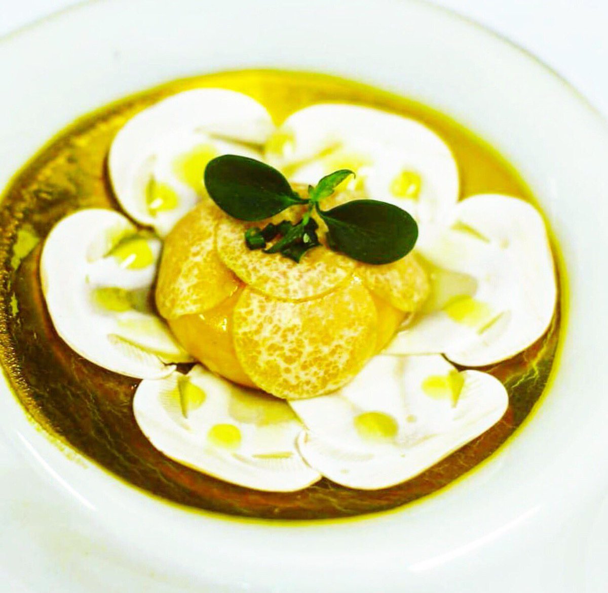 ¡Pero qué bonita eres primavera! 🌼
Carpaccio de amanitas, yema curada con sal de ajo y tomillo, criadillas de tierra, #Aove picual y escamas de sal.

#Alicún #Úbeda #Gastronomía