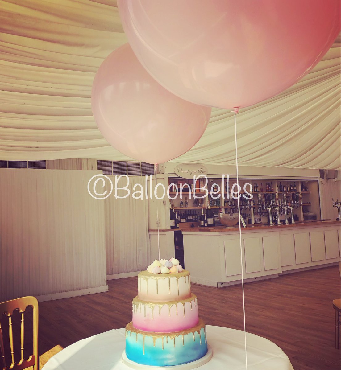 BalloonBelles's tweet photo. Sophisticated On Trend Balloon Decor #wedding #party #christening #balloons #heliumballoons #bigballoons #ballooncompany #eventdecor https://t.co/W7Bf8Idbfn