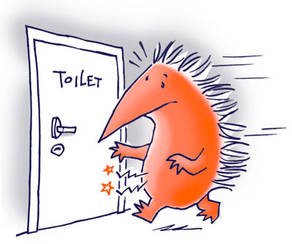 Welke voorzieningen heeft uw gemeente voor mensen met een chronische darmstoornis? Vertel uw verhaal waar u tegen aan loopt.
vnpaneltynaarlo.nl/site/page.php?…
