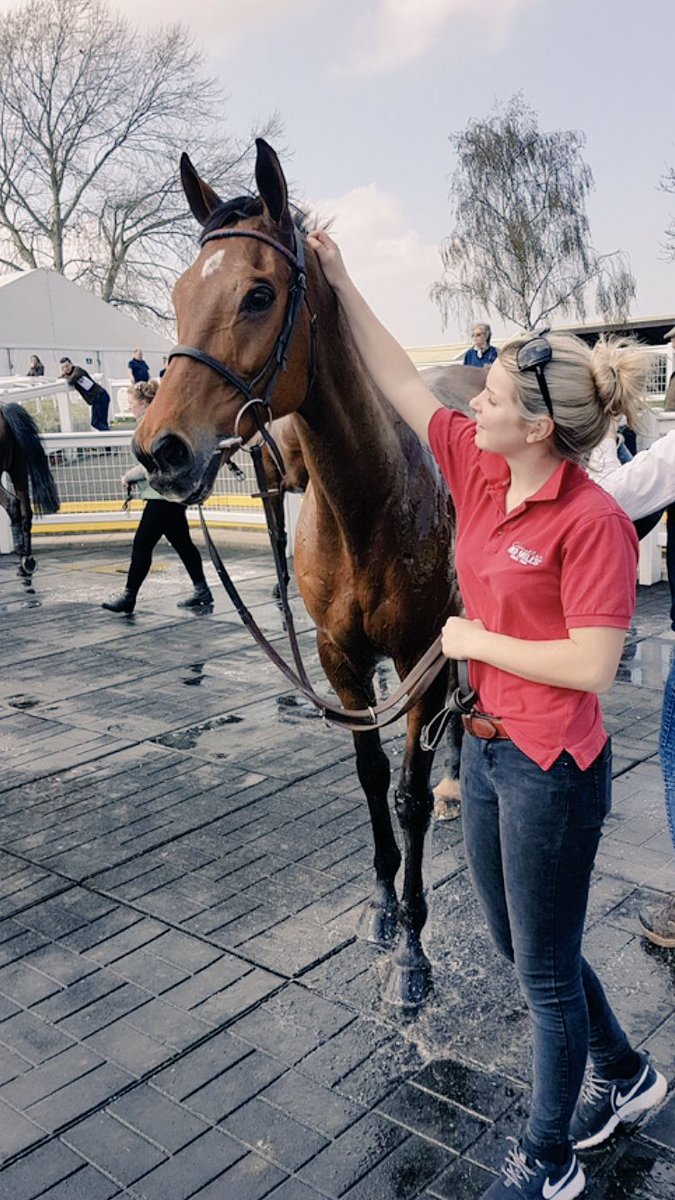 Jessie_Short8's tweet photo. My boy back in the winners enclosure 😍 #BigGeorgie #Pointtopointer https://t.co/M5lIonTLdv