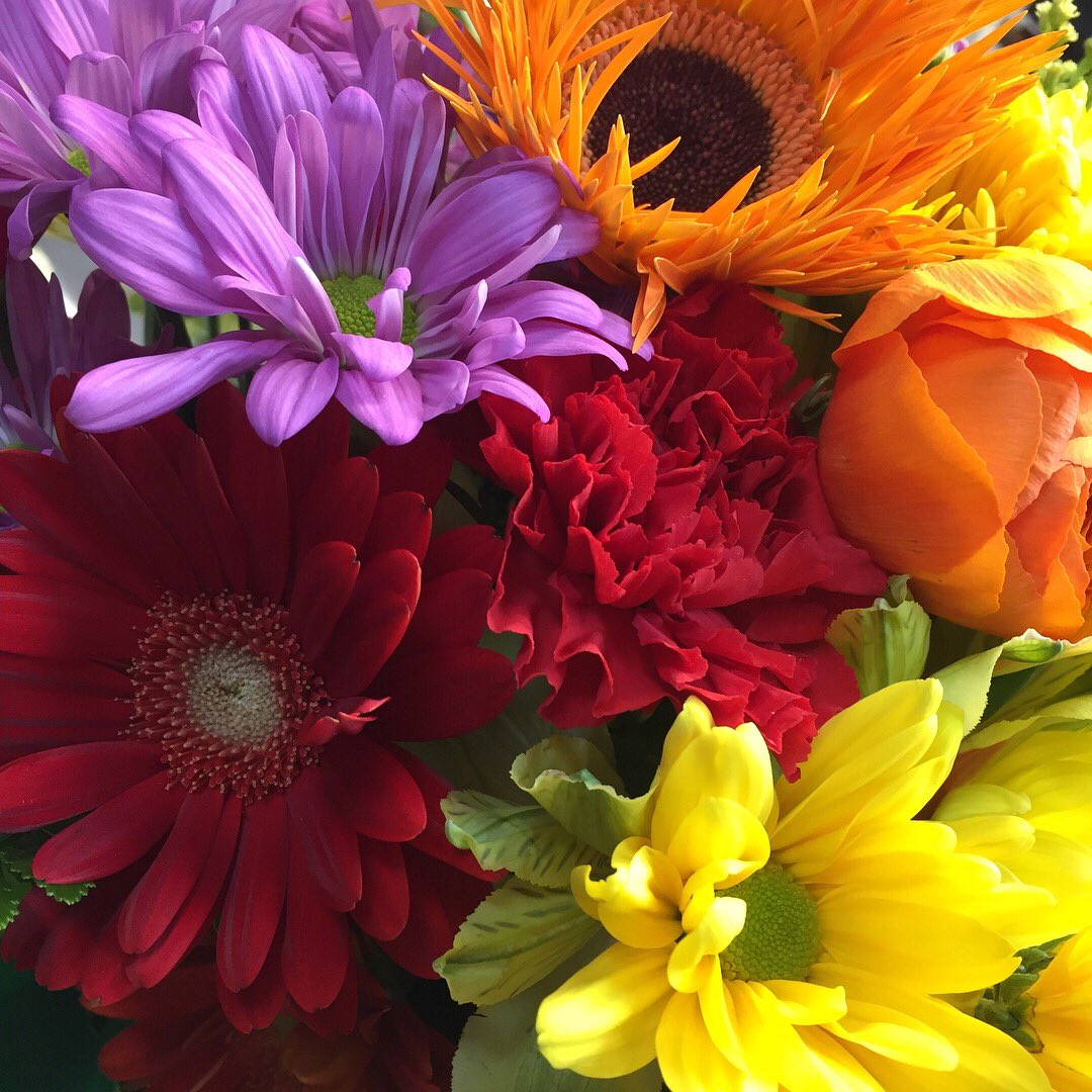 hamiltonsblooms's tweet photo. #bursting in colors https://t.co/6rRmZVz4Yh