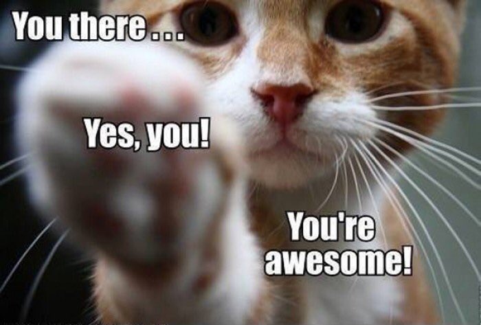 UCLanNurses's tweet photo. To all the student nurses and nurses out there... #nurse #nursing #student #studentnurse #YouAreAmazing #health #healthcare #nhs https://t.co/jJoeBgjCNI