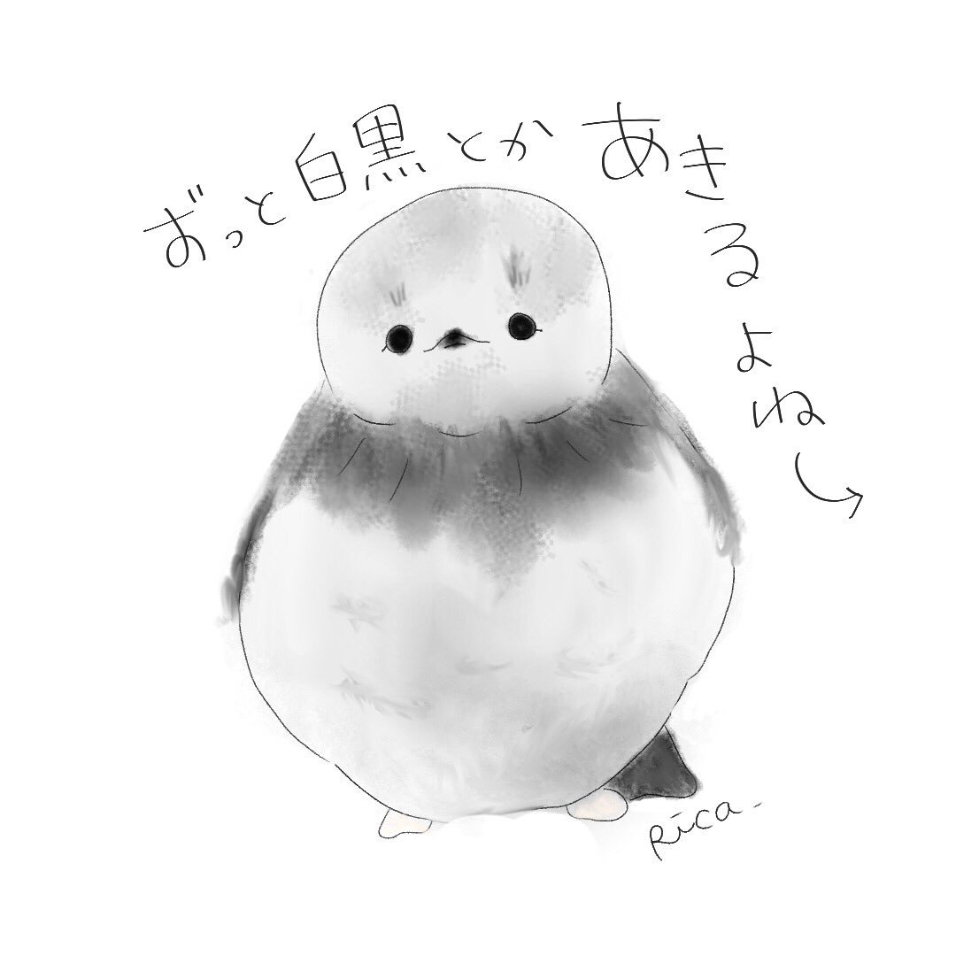 Uzivatel イラストレーターrica 理可 Na Twitteru 雷鳥ってかわいいのですが ご存知でしょうか もふっとしてまして 雪の中で生きられるので季節で色がかわるのですよ イラスト イラスト好きさんと繋がりたい イラストレーター 絵描きさんと繋がりたい お