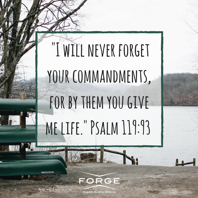 ForgingLives's tweet photo. #ForgingLives https://t.co/0GeOs9YAB6